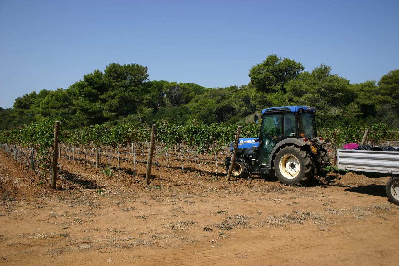 Agriturismo Vigna Corallo Otranto Exterior foto