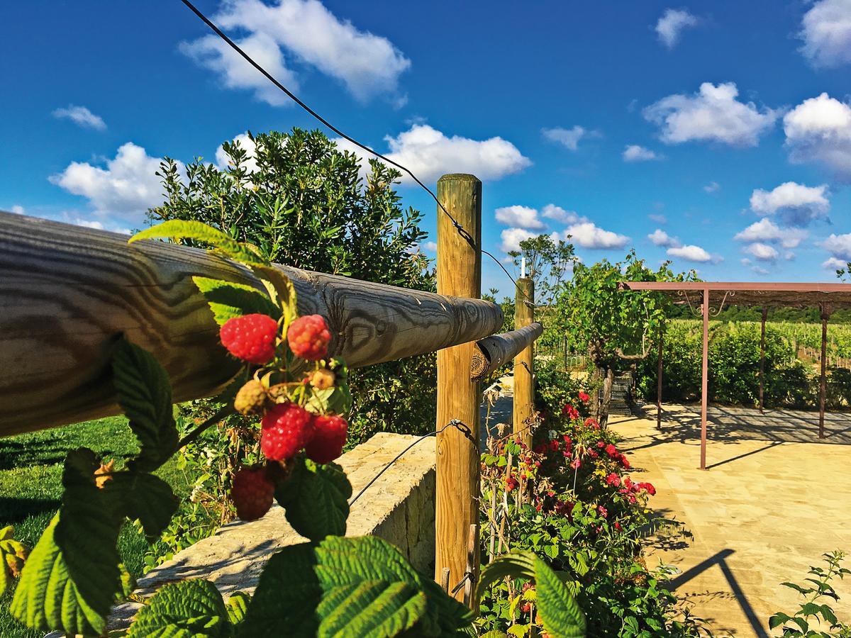 Agriturismo Vigna Corallo Otranto Exterior foto