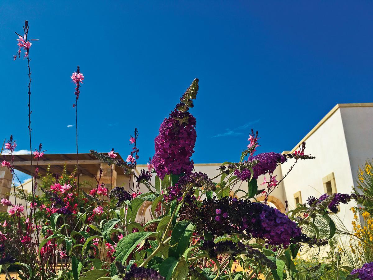 Agriturismo Vigna Corallo Otranto Exterior foto